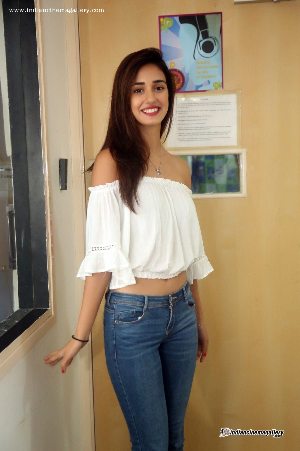 Disha Patani Temperament Lovely Picture and Photo